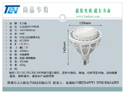 LED PAR38 66W