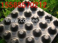 宜賓排水板//質量好價格低