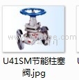 U41SM节能柱塞阀jpg