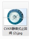 CVKR静音式止回阀(2)jpg