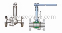 美国瑞恩RYAN 低温球阀