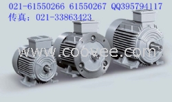 1TL0002-0DB22-1AA5電機