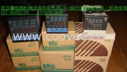 REX-C900FK02-8＊AN