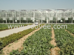 【質量好】溫室工程配件/蔬菜大棚建設