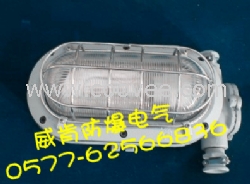 煤矿用隔爆型LED支架灯