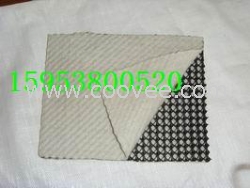 三維復(fù)合排水網(wǎng)價(jià)格優(yōu)惠廠家