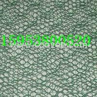 新疆三維土工網墊價格，拉薩三維植被網廠家