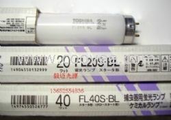 供应TOSHIBA FL20S.BL