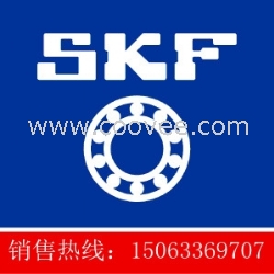 造纸设备专用轴承 SKF  瓦房店