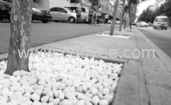 呼和浩特樹坑專用鵝卵石廠家