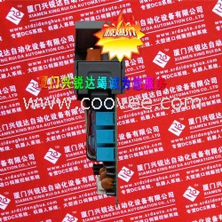 1C31219G01西屋卡件特卖