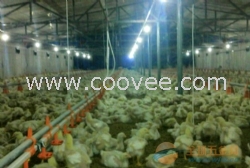 供應養雞場保溫鍋爐