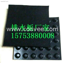 漢中排水板鞏固項目活動