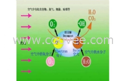 深圳卫生间空气净化