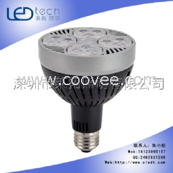 LED PAR30射灯 25W