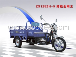 宗申 ZS125ZH-5 踏板金刚