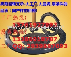 玉柴YC55,60,65,75回转支承