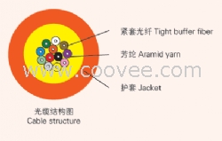 多用途布线光缆(GJFJV)