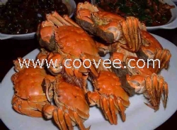 陽澄湖大閘蟹價格上市前導購指南