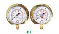 供應BT全銅蒸氣式壓力計