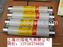 WFNHO-12/63A-50高壓限流熔