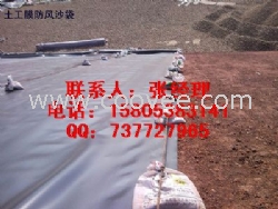 河南HDPE土工膜廠家低價(jià)供應(yīng)