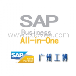 广州SAP business A1