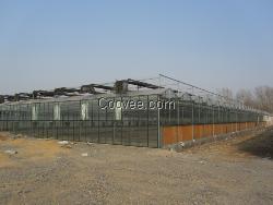 濰坊高溫大棚建造-高溫大棚建造價格-青州高溫大棚建造