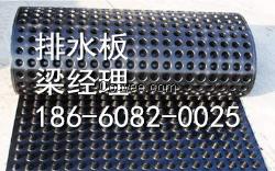 商丘排水板廠家