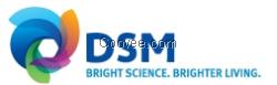 DSM 烤漆树脂