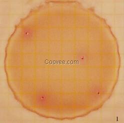 3M大肠菌群测试片（5ml型）6415