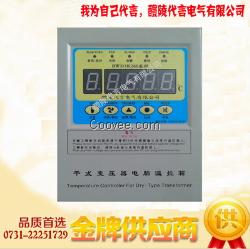 RE-B100/T 干變溫控儀 廠家直銷