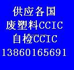 CCIC自檢代理