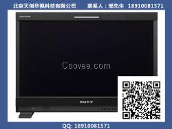 索尼PVM-2541AOLED画面监视器