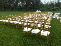 租賃出租竹節椅，北京天祿佳業租賃婚慶