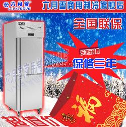 六月雪 豪华商用风冷二门单温冷冻冰箱