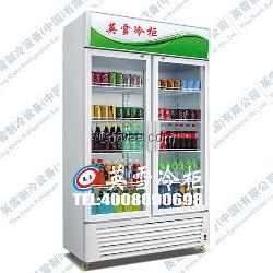冷柜廠家批發-華強北飲料柜價格-【英雪
