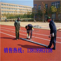 儀征塑膠跑道廠家