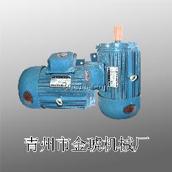 Y系列三相異步電動機(jī)定子繞組形式