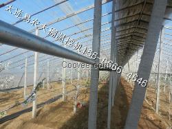 山東大棚智能溫控機供應價格