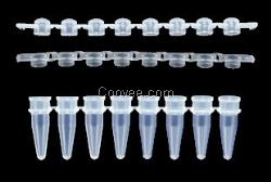 原裝愛思進(jìn)Axygen PCR管、P