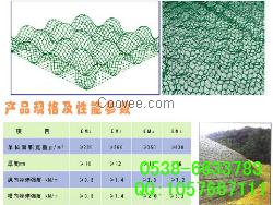 扬州三维植被网，边坡植草绿化