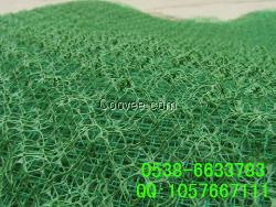 包頭三維植被網(wǎng)，邊坡綠化