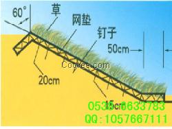 常州三维植被网，边坡绿化