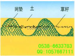 苏州三维植被网，边坡绿化