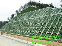 威海植生袋，公路邊坡綠化