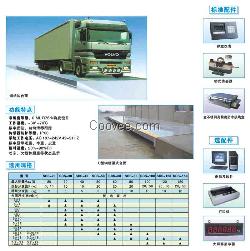 台州地磅称、临海SCS地磅、温岭电子地磅
