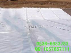 濰坊防滲膜，復合土工膜