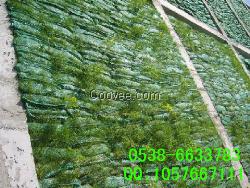 慈溪植生袋，公路邊坡綠化