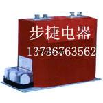 LZZBJ9-10A1G 2500/ 0.5級 LZZBJ9-10A電流互感器